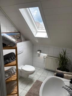 Westerwaldnest - 6