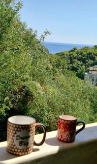 Sun Apartment - Petrovac na Moru - 6
