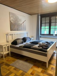 Gemütliche EG-FeWo im Haus zur Vulkaneifel in Brohl - 9