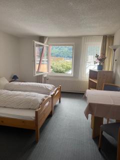 Hotel ilufa - Meiringen - 7