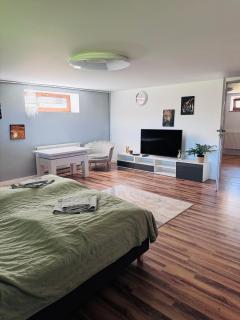 Kalinówka - Lublin - Felin - Apartament z Jacuzzi - Lublin - 0