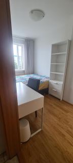 Private room in a family house, good location - Reykjavik - 8