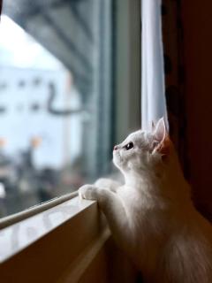 池上投優榻 Smart living B&B - 1