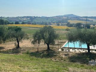 Ca Bigia - appartamento in casolare con piscina - Pesaro - 2