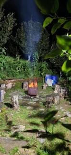 Wood Heaven Farms - 3