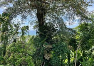 Charming and Exotic Seaview 2-Bedroom House in Patong - 1