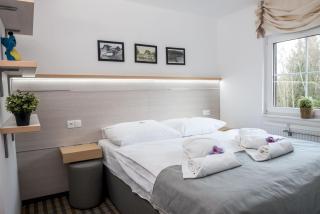 Horský Hotel Dobrá Chata - Stachy - 2