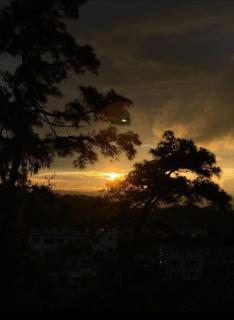 Spacious Villa for a group of Family&Friends - Shillong - 7
