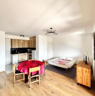 Appartement au pied du MontBlanc - Domancy - 8