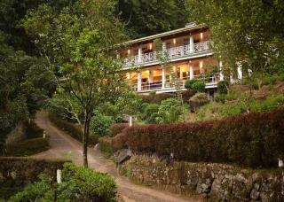 Forest Edge - Ginigathena - 2