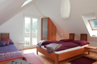 Appartement Violet - Plainfaing - 7