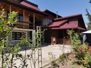 Casa de vacanta 1001 De Nopti - 9