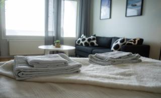 Arctic Studio, Free Parking - - 9