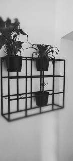 Prismatica Apartment - 1