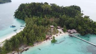 Panun Paradise Misool - 0