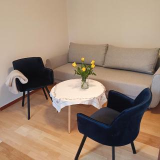 Apartamenty 40 - Ciechocinek - 1