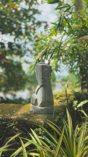 Sunsets and Palm Trees - 1