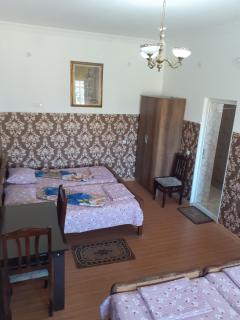 Guest House Fazisi - Kutaissi - 7