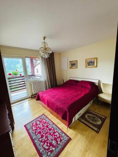 Vila CETINA - Fundu Moldovei - 2
