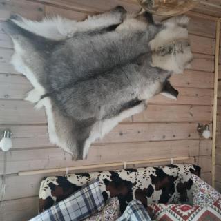 Wilderness cottage 6 people - Kiruna - 7