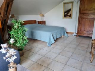 Gîte L'Albizia - Paulin - 1