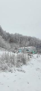 LeGora - - 7