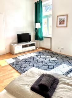 Central Apartment - Wien - 5