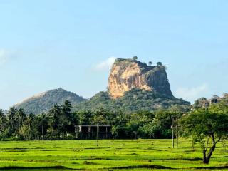 Sigiriya Hillside View Villa - Sigiriya - 7
