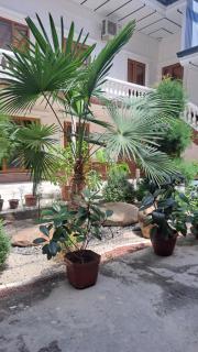 Royal lux Guest House - 4