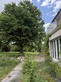 Villa von EmMa - Rot am See - 7