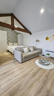 Petite Merveille sous les toits - Dijon - 0