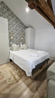 Petite Merveille sous les toits - Dijon - 9