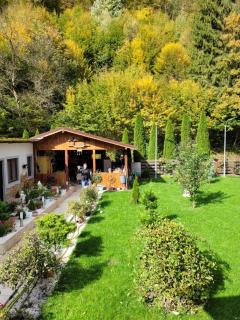 A-Frame Bella - Zăvoi - 2