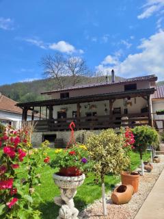 A-Frame Bella - Zăvoi - 1