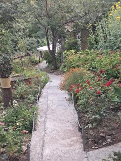 Green House - მწვანე სახლი - Sighnaghi - 9
