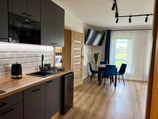 Apart House Apartamenty w Białce Tatrzańskiej - Białka Tatrzańska - 9