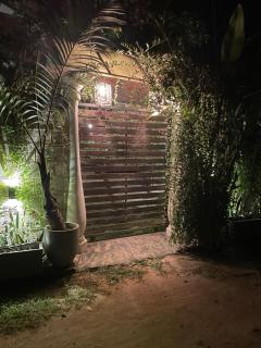 Calathea inn unawatuna - 9