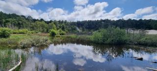 Puur Schoorl - 6
