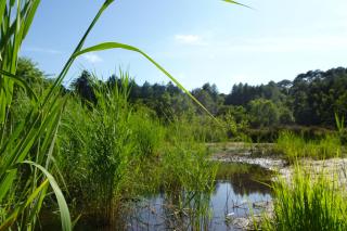 Puur Schoorl - 3