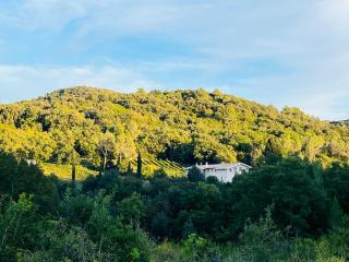b&b Il vecchio Molino - Quercianella - 8