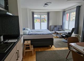 1 Raum Ferienwohnung für Eisenbahnfreunde - Wernigerode - 2