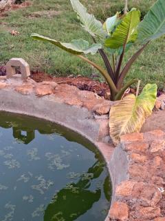 Elmadel Coffee Gardens 5Bedroom Villa Mua Hills 50kms from Nairobi - 8