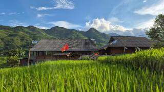 The Zen House Sapa - Sapa - 2