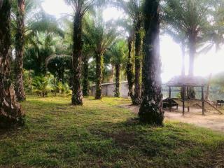 BaanSuanNaNin Wellness Glamping Stay - - 8