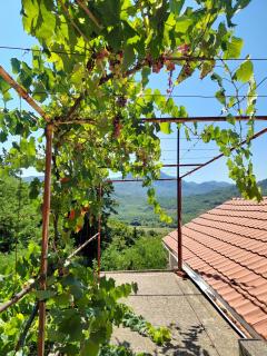 Feel the village - Virpazar - 6