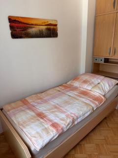 Helle Wohnung in grüner Lage - Nähe Linz Zentrum - Linz - 2