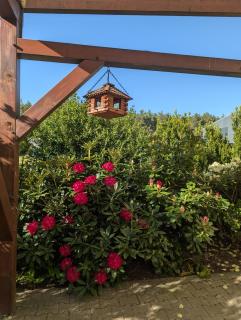 Pension zum Reiterhof, 3-Bettzimmer - 1