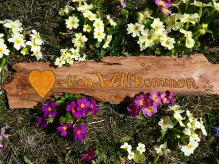 Ferienwohnung Amann - 6