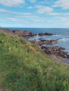 Comfy caravan in Eyemouth - Eyemouth - 8