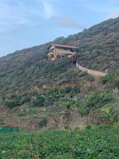 Casa Amarilla de Playa Benijo - 9